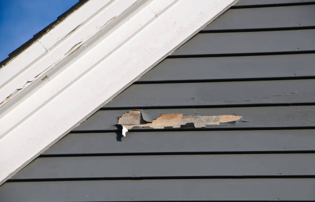 Best Siding Maintenance  in Childersburg, AL