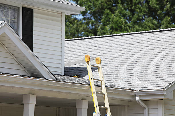 Best Engineered Wood Siding  in Childersburg, AL
